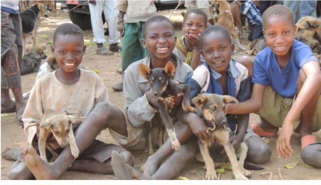 Nyakach community members building pet shelters with local materials